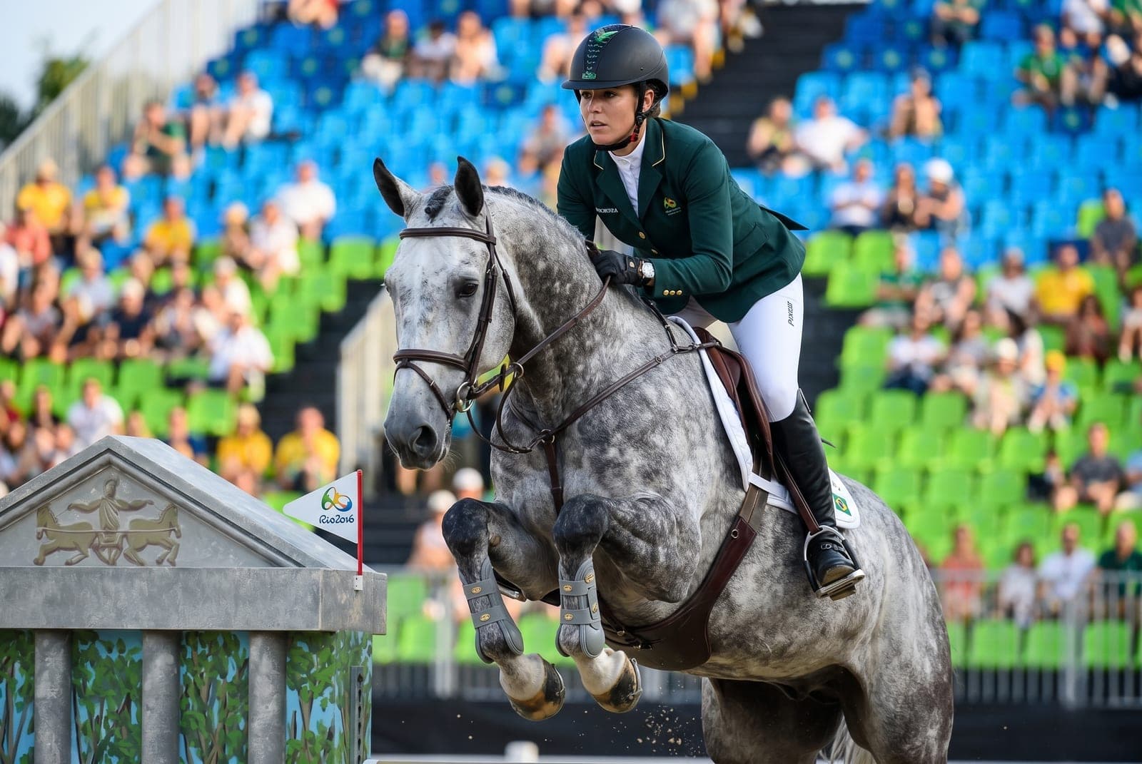 Quina LF — cavalo de salto